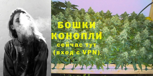 ПСИЛОЦИБИНОВЫЕ ГРИБЫ Коряжма