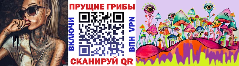 Купить где  Алексеевка  Галлюциногенные грибы MAGIC MUSHROOMS 